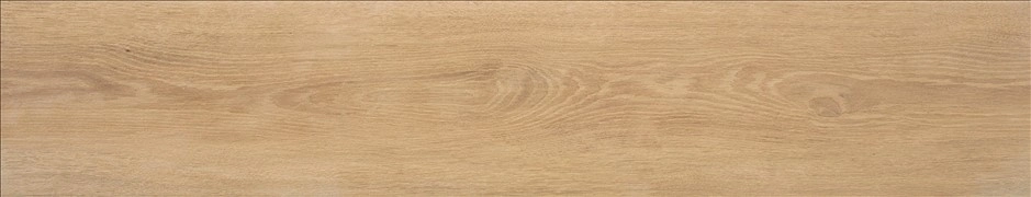 2026_06_02_1164198